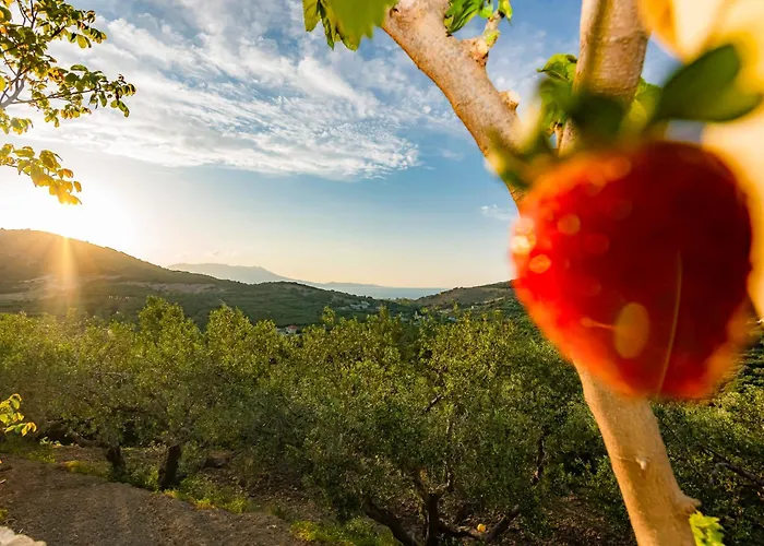 Rikanthos Stone Sea View Apartment Ιι