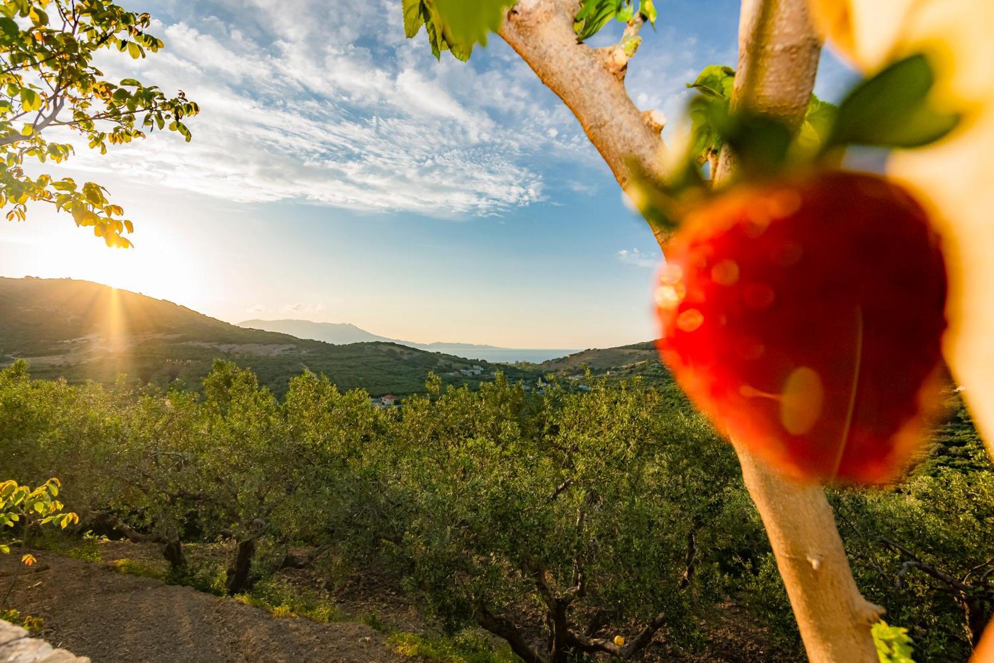 Rikanthos Stone Sea View ιι Appartement Kíssamos